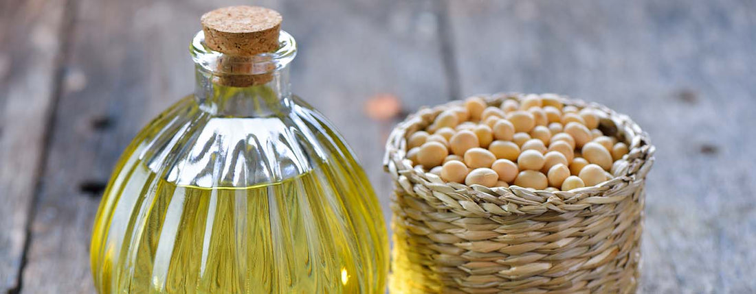 Soybean oil used for making soy candles