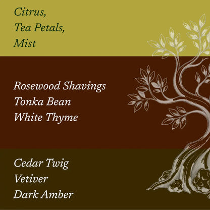 Amber Rosewood scent notes with rosewood tree illustration
