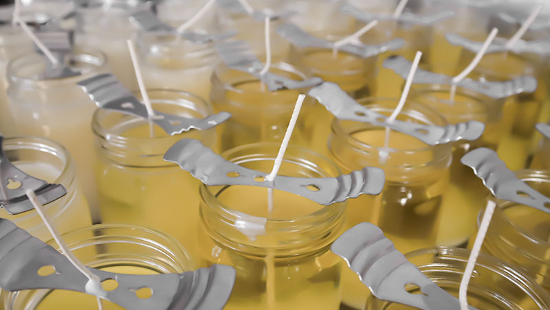 Candles curing in their jars